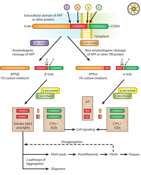 All rights reserved - Unpublished work.