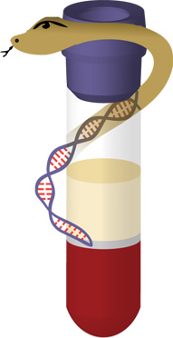 All rights reserved. Click Image for theoretical justification (pdf document).